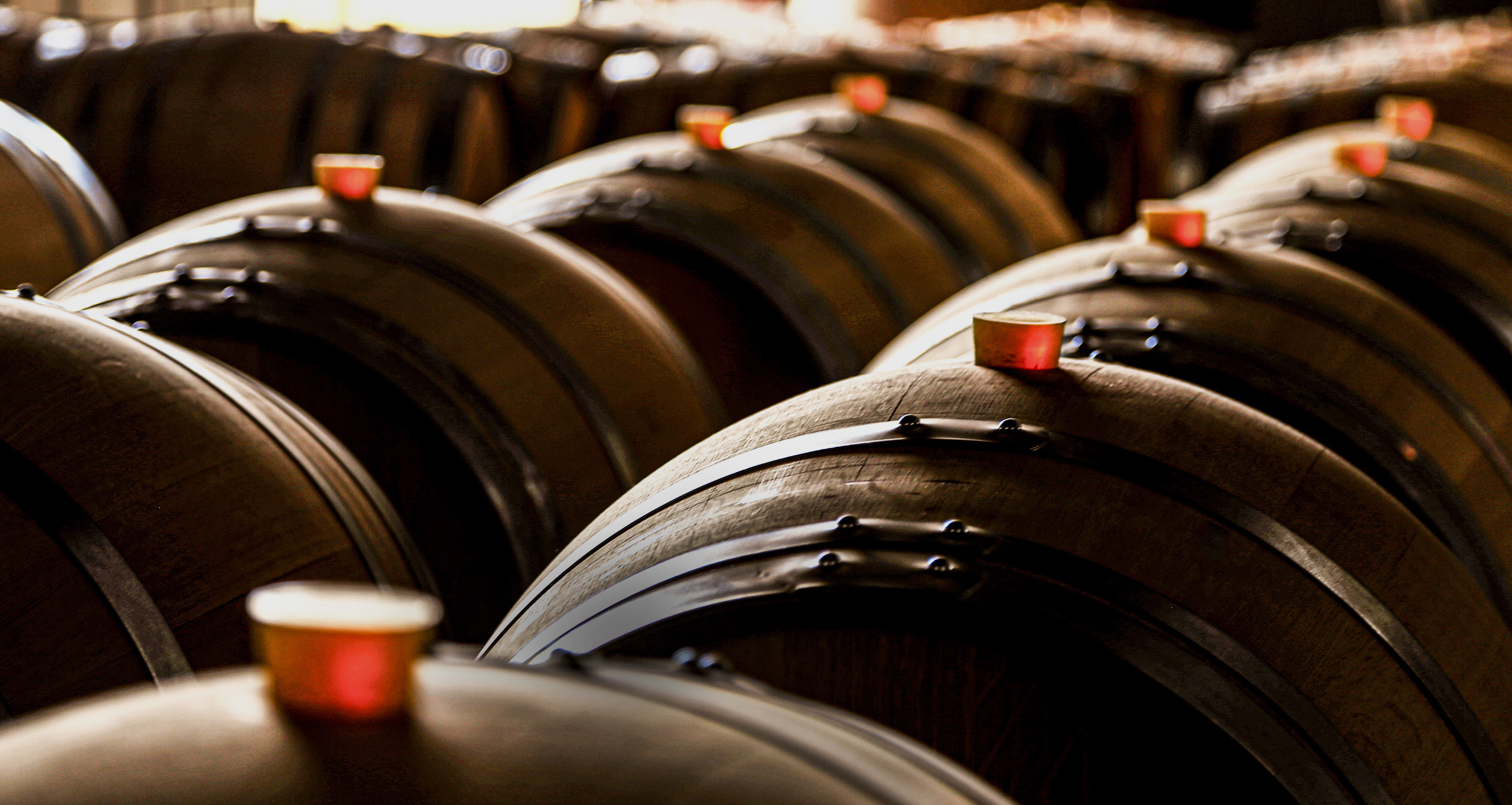 Sala de catas de Bodegas Alejandro en Alicante