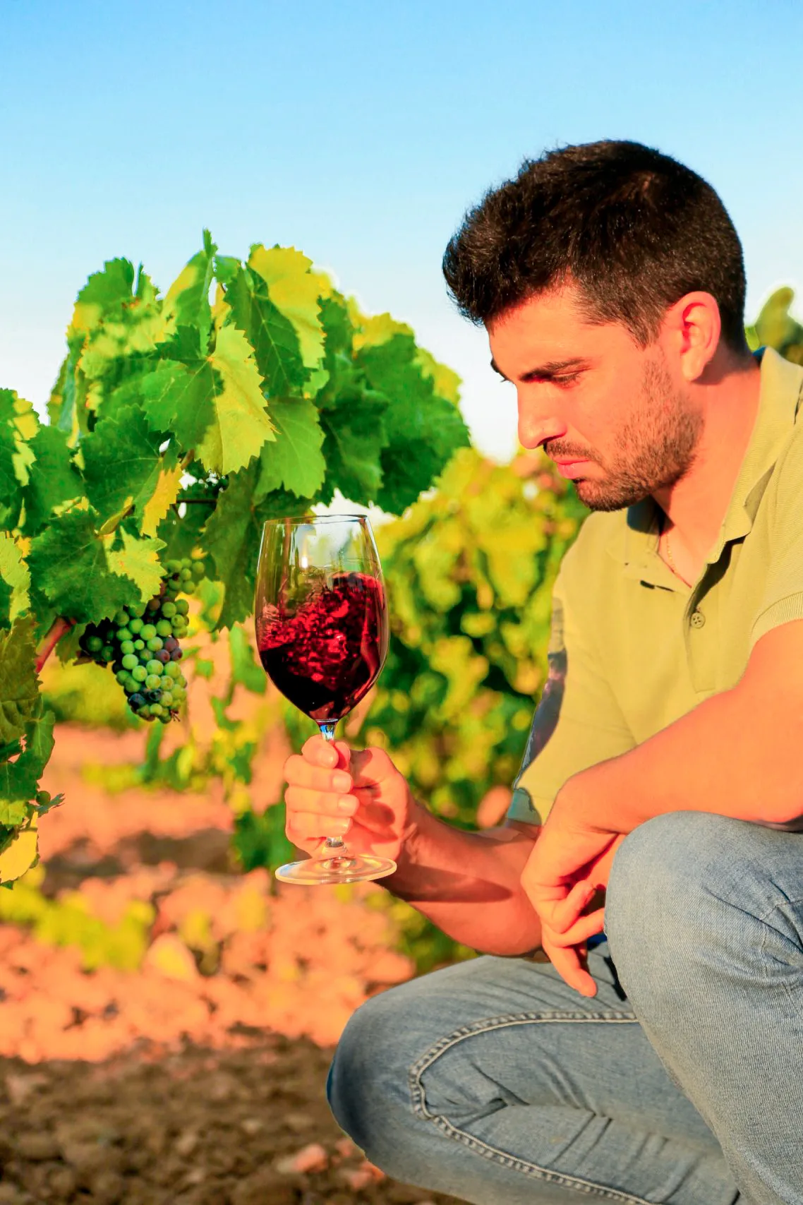 Alejandro Pérez Martínez junto a la nueva generación de la bodega