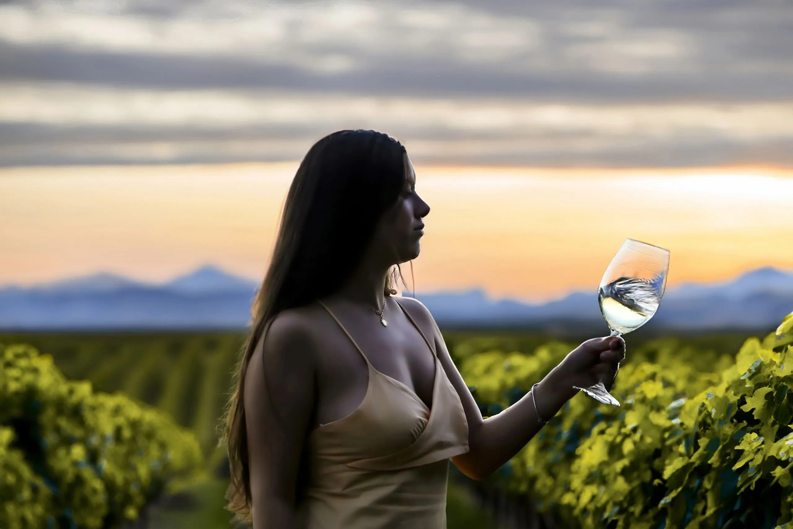 Continuidad y evolución de la bodega