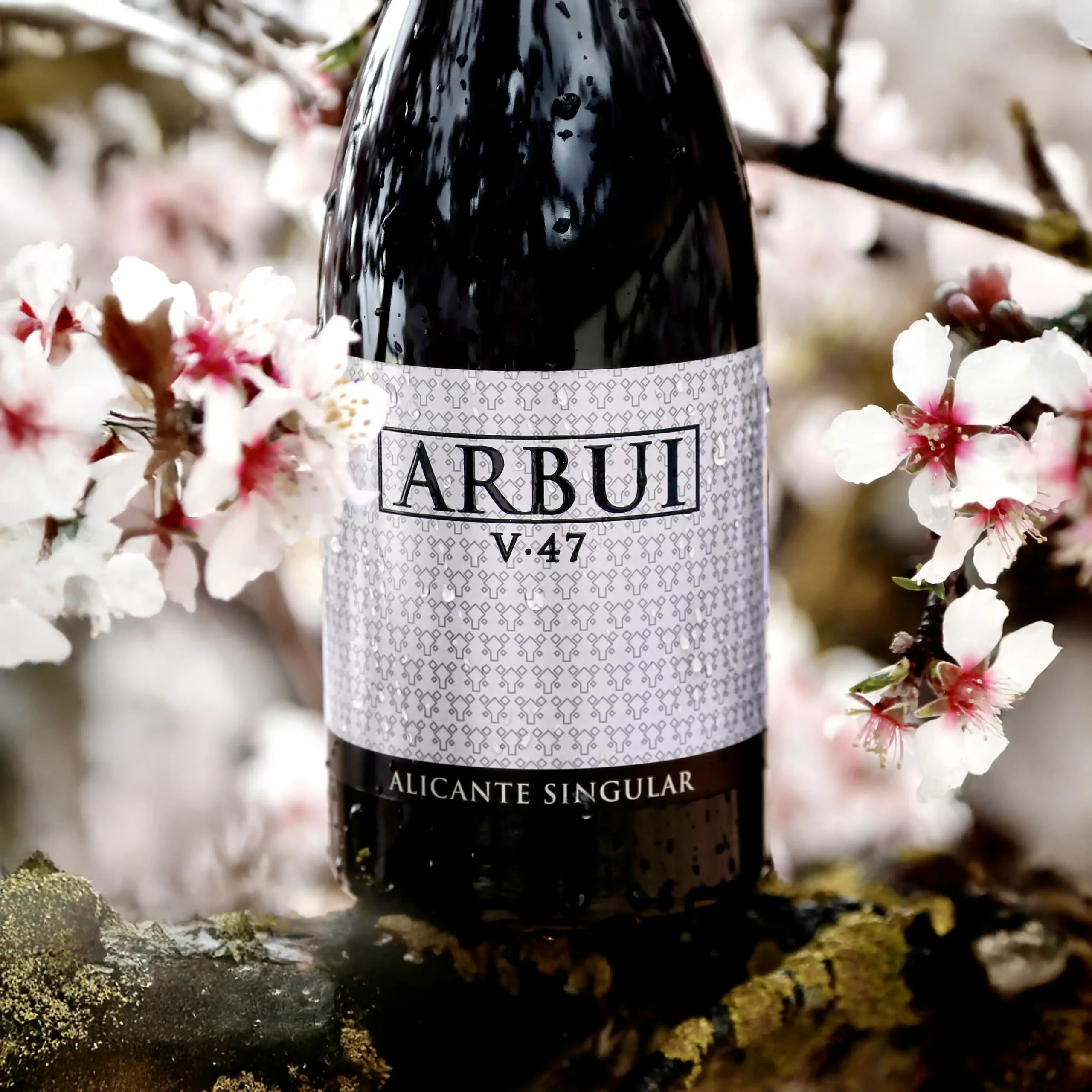 ARBUI V·47 - Imagen 5