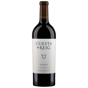 CUESTA DE REIG